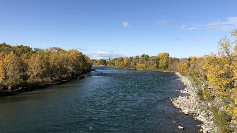 The Bow River lined with autumn trees in Calgary