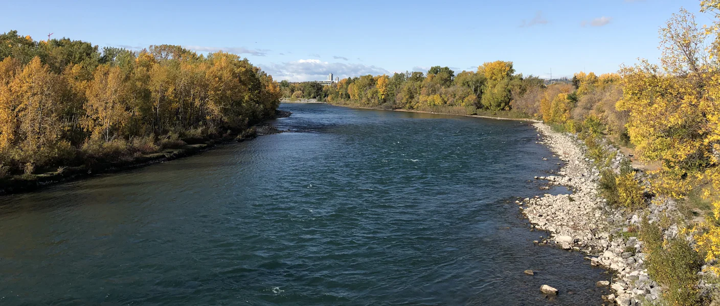 The Bow River lined with autumn trees in Calgary