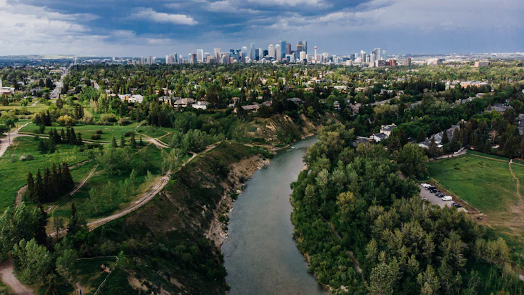 Aerial view of tree-lined Calgary streets with the downtown skyline in the distance